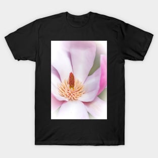 Close-up of a Magnolia Flower T-Shirt